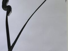 -上海明天广场JW万豪酒店