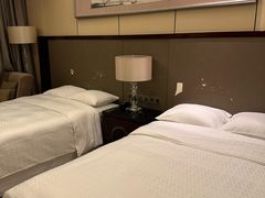 -廊坊固安福朋喜来登酒店