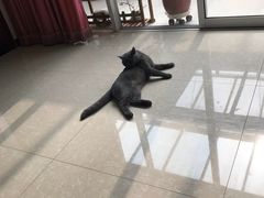 -宠福鑫康馨动物医院·骨科·眼科