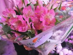 -花鸟鱼虫鲜花绿植市场(玉泉路店)