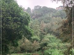 -重庆彩云湖湿地公园