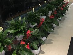 -拾贝海鲜馆（海鲜粤菜）(花果园店)