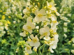 -中国天府农业博览园