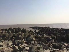 -南汇嘴观海公园