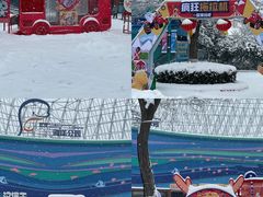 -海合安武汉极地海洋公园