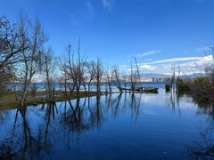 -洱海月湿地公园