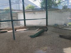 -瑞博尔花园酒店(太周创新产业园店)