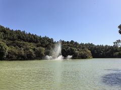 -广州白江湖森林公园