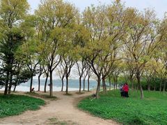 -大兴滨河森林公园