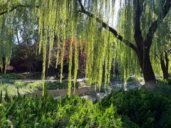 -菖蒲河公园