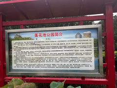 -莲花池公园