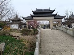 -苏州上方山国家森林公园
