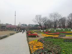 -秀丽东方