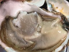 -四季美蚝皇