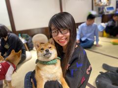 -逗柴咖啡屋·狗咖猫咖宠物桌游