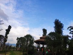 -枫香湖儿童公园