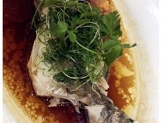 海鲈鱼-万山楼海鲜酒家·二十三年老字号