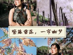 -嘉定紫藤园