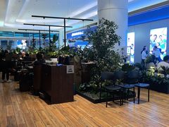 -同仁四季椰子鸡(宝安壹方城店)