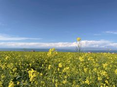 -青海湖国家重点风景名胜区