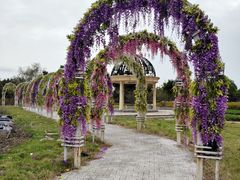 -歌斐颂巧克力小镇