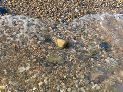 -泊石湾海滨浴场