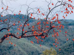 -丹山赤水风景名胜区