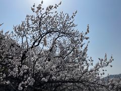 -居庸关长城