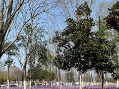 -钟山体育运动公园