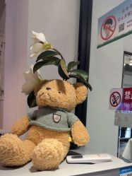 -LJOY丽锦造型·烫发染发