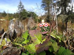 -硗碛藏寨·神木垒景区