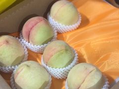 -老袁家蜜桃农场·阳山水蜜桃