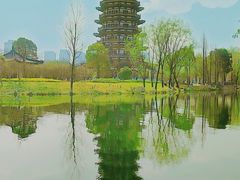 -洋湖国家湿地公园
