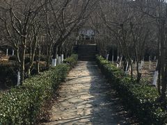 -白马涧龙池景区