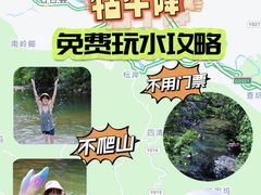 -石台牯牛降景区