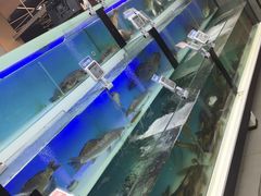 -盒马鲜生(宝地店)