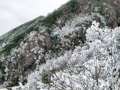 -金子山原生态旅游风景区