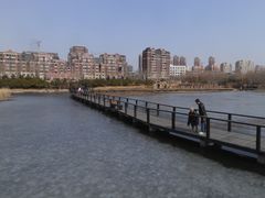 景点-前关湿地公园