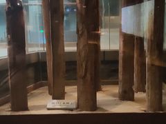 -元代水闸遗址博物馆