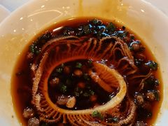 -川道拐耗儿鱼(旗舰店)