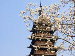 -常熟方塔园