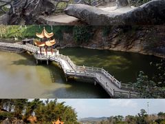 -海花岛旅游度假区