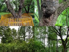 -徐家汇源景区-衡山公园