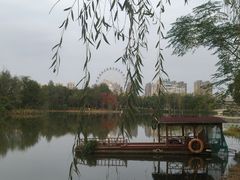 -洋湖国家湿地公园