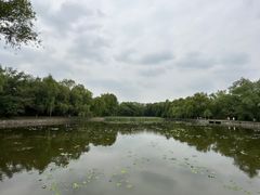 -北陵公园