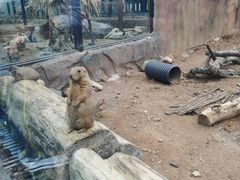 -大连森林动物园