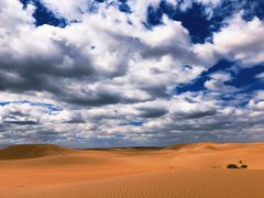 -亿利库布其七星湖沙漠生态旅游区