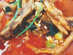 -全乐鱼馆·淳牌有机鱼直营店