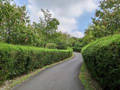 -天目湖涵田度假村