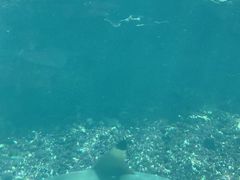 -海棠湾洲际-涛·海底餐厅·美人鱼·自助餐·海底隧道